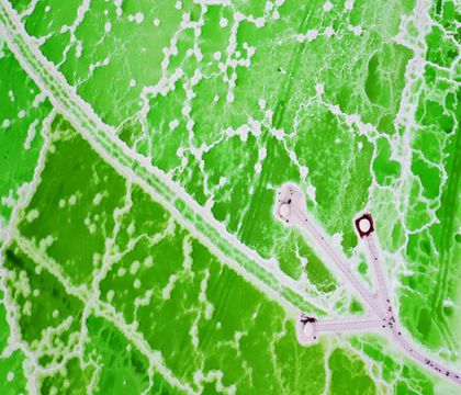 青海西寧+青海湖+茶卡鹽湖+敦煌+嘉峪關(guān)+張掖8日7晚私家團(tuán)